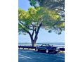 MERCEDES-BENZ E 220 2019/8 - 13