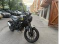 BENELLI LEONCINO 250 2022 - 4