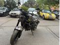 BENELLI LEONCINO 250 2022 - 5