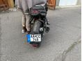 BENELLI LEONCINO 250 2022 - 6