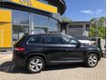 SKODA KODIAQ 2017/7 - 8
