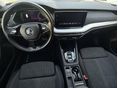 SKODA OCTAVIA 2021/8 - 5