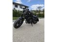 HONDA CMX 500 REBEL 