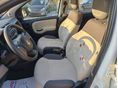 FIAT PANDA 2013/10 - 11