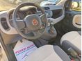 FIAT PANDA 2013/10 - 12