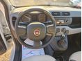 FIAT PANDA 2013/10 - 13