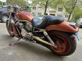 HARLEY-DAVIDSON V-ROD (VRSCA) 2005/1 - 6
