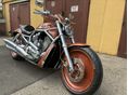 HARLEY-DAVIDSON V-ROD (VRSCA) 2005/1 - 8