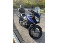 SUZUKI DL 1000 