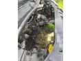 OPEL MOVANO 2010/9 - 15