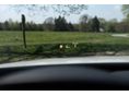 BMW 430 2016/12 - 12