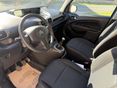 CITROEN C3 PICASSO 2009/6 - 5