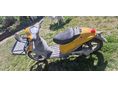 PIAGGIO LIBERTY 50 2020 - 2