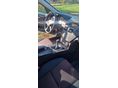 MERCEDES-BENZ C 220 2009/7 - 4