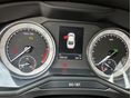 SKODA SUPERB 2020/3 - 9