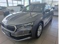 SKODA OCTAVIA 2026/4 - 2