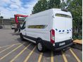 FORD TRANSIT 2019 - 2
