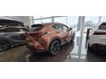 LEXUS NX 2025/11 - 2