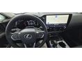 LEXUS NX 2025/11 - 7