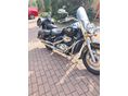 SUZUKI VL 800 (INTRUDER) 