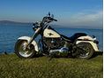 HARLEY-DAVIDSON FAT BOY 