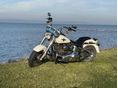 HARLEY-DAVIDSON FAT BOY 2005/4 - 2