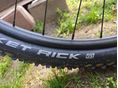 BICYCLE 2021 - 10