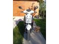 KYMCO AGILITY 50 2014/6 - 3