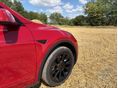 TESLA MODEL Y 2023/3 - 12