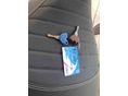 VESPA PRIMAVERA 125 3V 2015/2 - 8