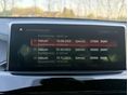 BMW X2 2019/5 - 11