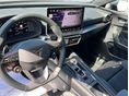 CUPRA LEON 2026 - 9