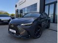 LEXUS NX 2025/3 - 2