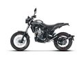 BETAMOTOR ALP 4.0 2026/4 - 2