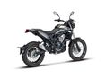 BETAMOTOR ALP 4.0 2026/4 - 3