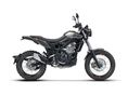 BETAMOTOR ALP 4.0 2026/4 - 4