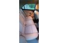 SAAB 9-5 2011/1 - 3