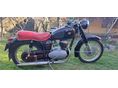 PANNONIA T1 