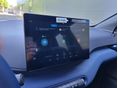 BYD DOLPHIN SURF 2024/11 - 12