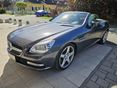 MERCEDES-BENZ SLK 350 2011/3 - 3