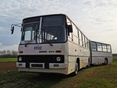 IKARUS 1992/11 - 3