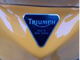 TRIUMPH TT 600 2002/7 - 10