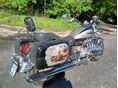 HONDA F 6 C 2001/6 - 3