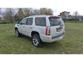 CADILLAC ESCALADE 2010/7 - 6