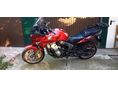 HONDA CBF 600 2008/8 - 2