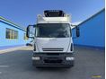 IVECO 2008/5 - 2