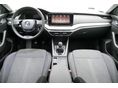 SKODA OCTAVIA 2023/2 - 7
