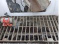 VOLVO 2014/11 - 16