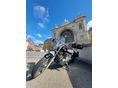 YAMAHA XVS 650 DRAG STAR 2001 - 6