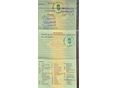 KRONE 1999/1 - 13